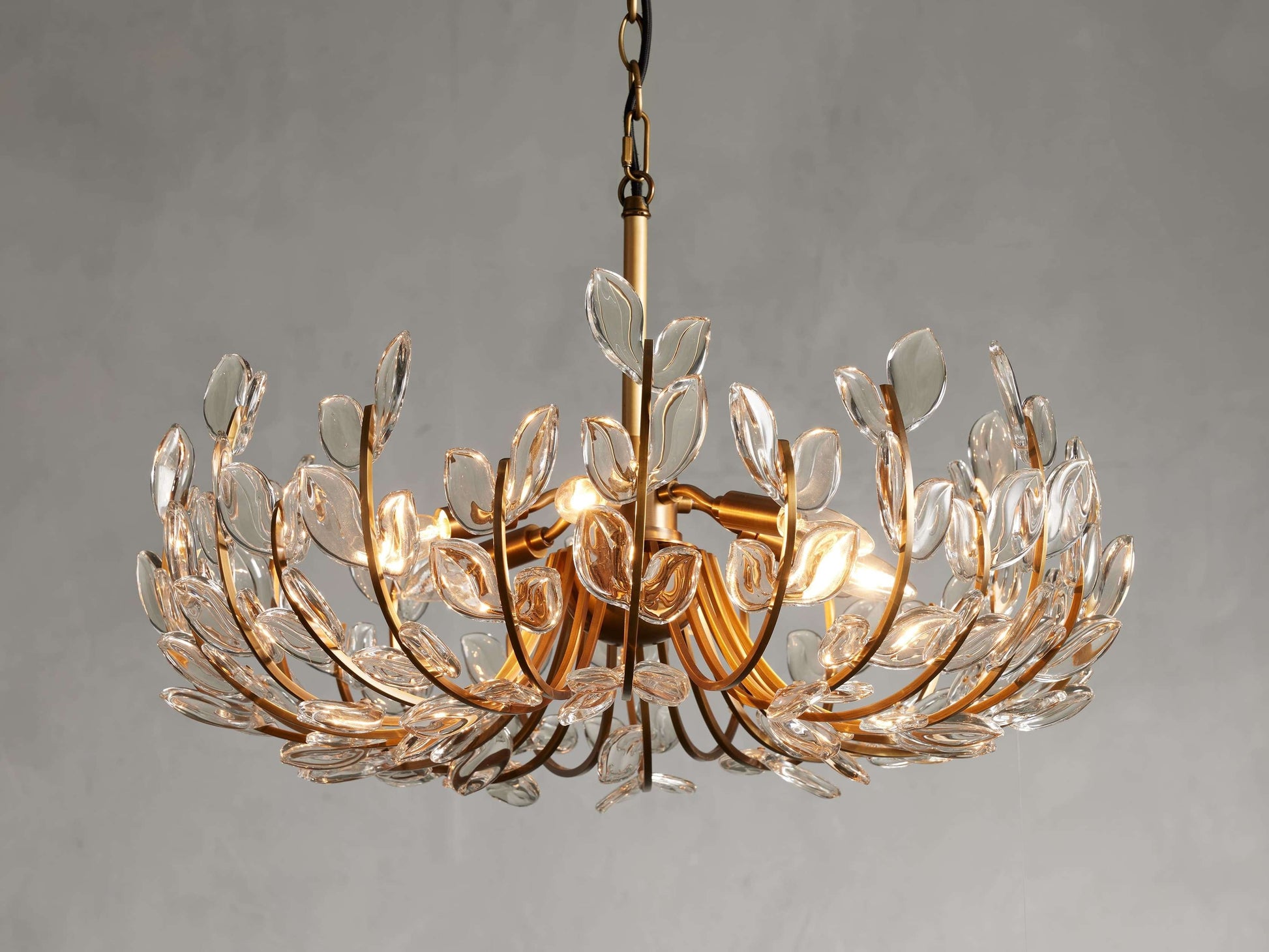 Adela Brass Petal Glass Chandelier